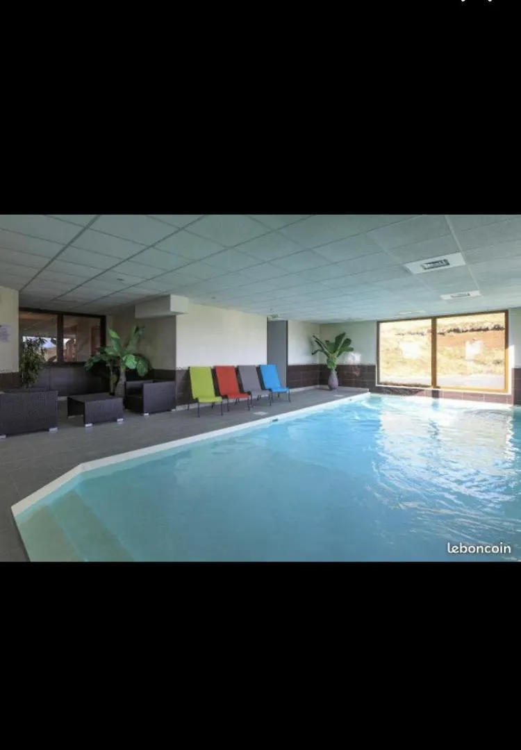 Apartment Grand Appartement Piscine Besse-et-Saint-Anastaise