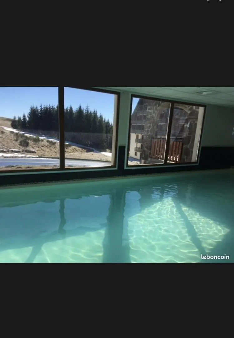 Apartment Grand Appartement Piscine Besse-et-Saint-Anastaise France
